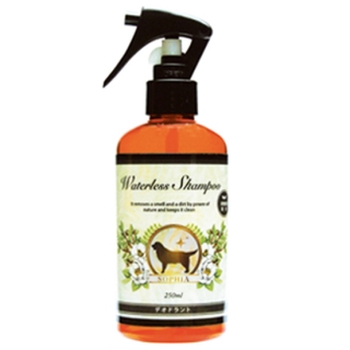 �\�t�B�A �E�H�[�^�[���X�V�����v�[