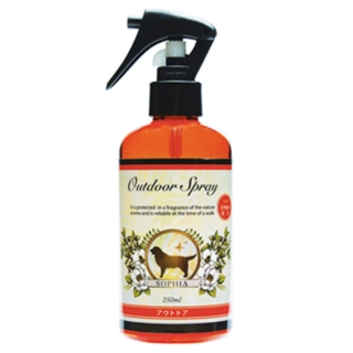 �\�t�B�A �A�E�g�h�A�p�X�v���[