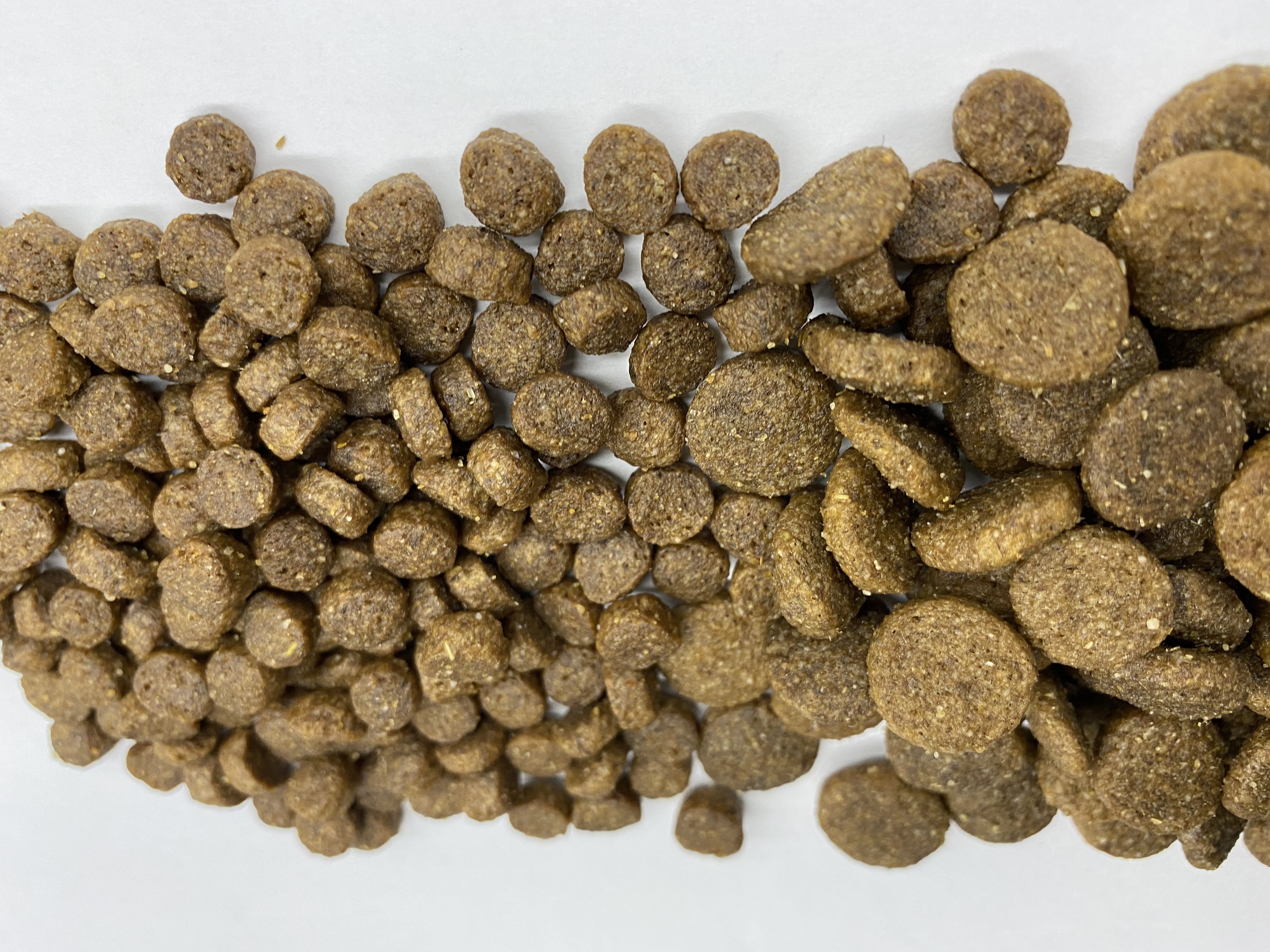 �p�[�t�F�N�V���� �h�b�O�t�[�h