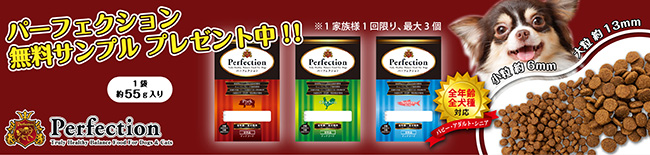 �p�[�t�F�N�V���� �`�L��