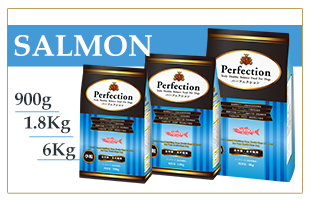 �p�[�t�F�N�V���� �h�b�O�t�[�h